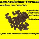 Kanna Sceletium Tortuosum Capsules 500mg x  60 Caps