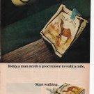 Camel Cigarettes vintage Magazine Print Ad August 1972 Camel Cigarettes vintage Magazine Print Ad August 1972