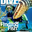 Sport Diver Magazine November December 2000 St Vincent Bonaire Cavern Diving