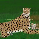 Life Moves Too Fast (Cheetah Print)