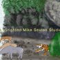 Tiger's Favorite Waterfall Print