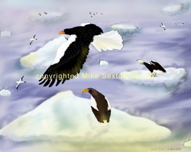 Stellar Sea Eagle Island Print
