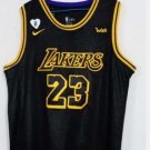 2020 NBA Los Angeles Lakers #23 LeBron James Embroidered Black Mamba Snakeskin Black Gold jersey