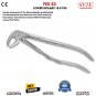 Dental Extraction Forceps Lower Roots Molars Surgical Pliers Teeth Removal Tool