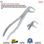 Tooth Extraction Forceps Lower Incisors & Roots Fig 74 D Dental Surgical Instrument CE