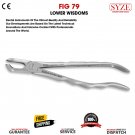 Dental Extraction Forceps Lower Wisdom Molar Dental Surgical Instruments Fig 79