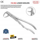 Dental Tooth Extraction Forceps Fig 86A Lower Molars Root Surgical Instruments