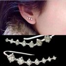 Fashion Earrings