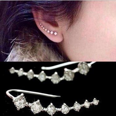 Fashion Earrings