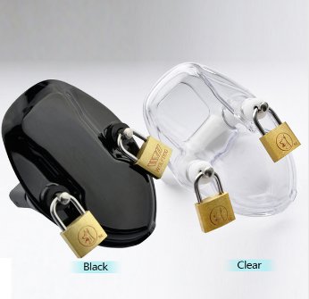 Prison Bird Male Chastity Device Men's Virginity Lock Penis Ring Lock