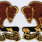 10th Cavalry Regiment Buffalo Soldier Insignia US Army Badge Iron On Embroidered Patch