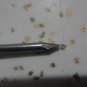One lot of 25 nails, for those smaller jobs. 4D, 12 1/2 gauge(thin), Box Nails.