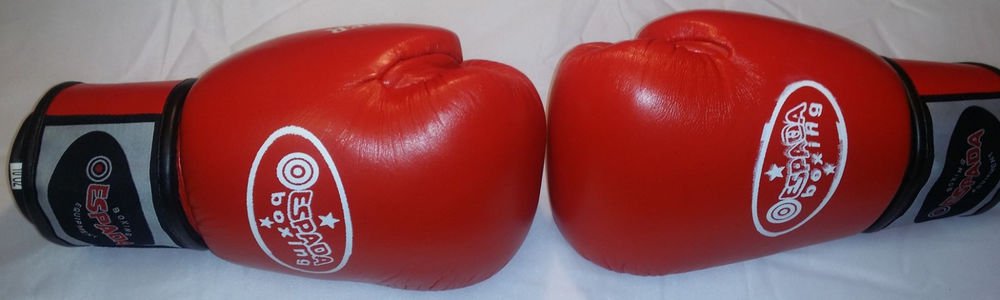 Professional Boxing Gloves Sparring Punching Bag Muay thai Kickboxing Training