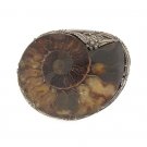 Nautilus Fossil Ammonite 925 Sterling Silver Belt Buckle Handmade