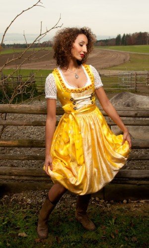NEW Exclusive German Fest 3pc Dirndl Dress Blouse Apron