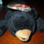 TY Beanie Babies Blackie the Bear (4011) 1994
