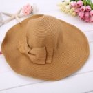 Summer Elegant Big Hat (Tan Colored)
