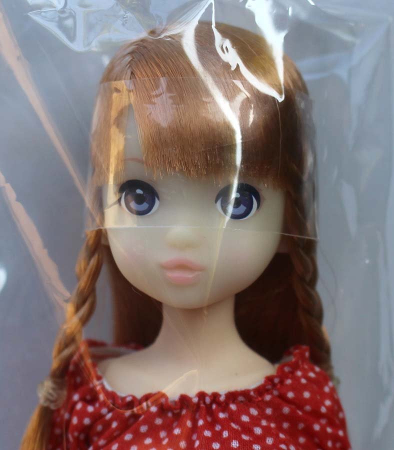 Petworks Fresh Ruruko 16HB Doll Factory Sealed