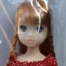 Petworks Fresh Ruruko 16HB Doll Factory Sealed