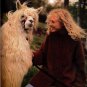 Interweave Knits Magazine Fall 2000 - 21 Projects