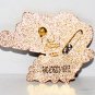 Walt Disney World Kali River Rapids Slider Pin