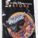 D23 2024 Disney Company Store Songs We Grew Up With Colors of the Wind Pin Ltd Ed 400