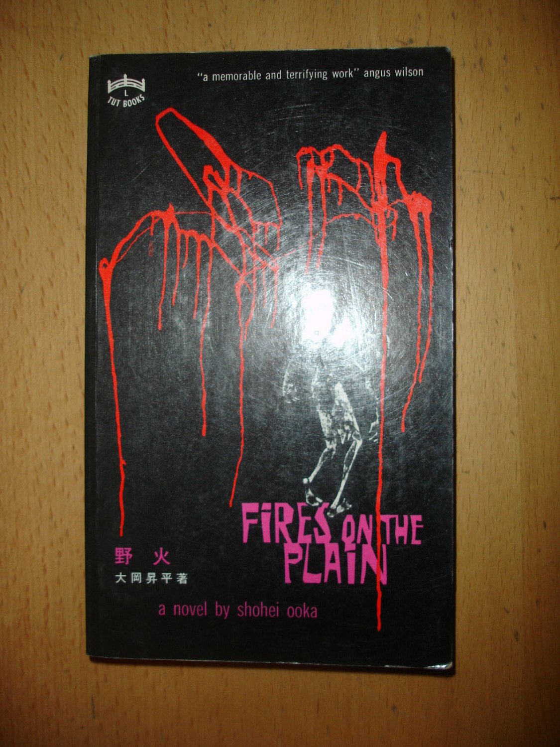 Fires on the Plain