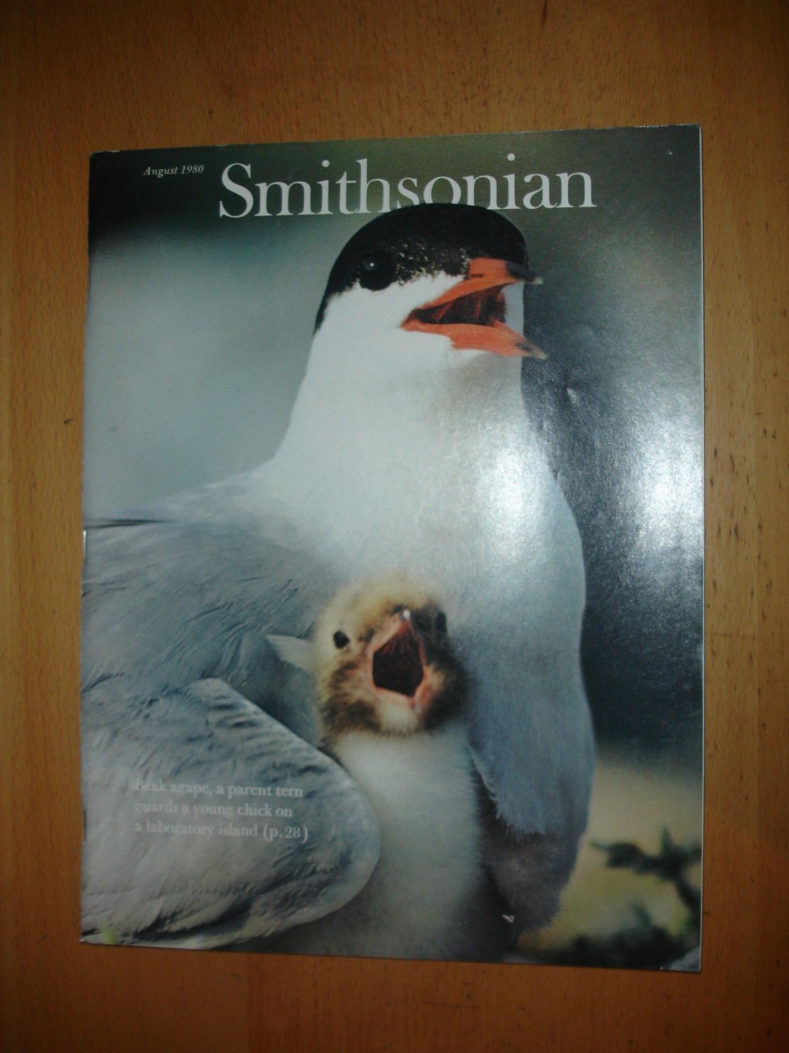 Smithsonian August 1980