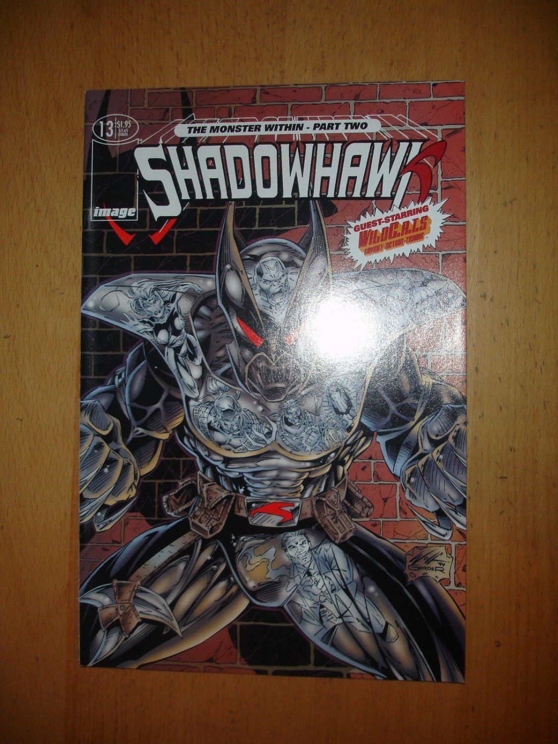 Shadowhawk #13