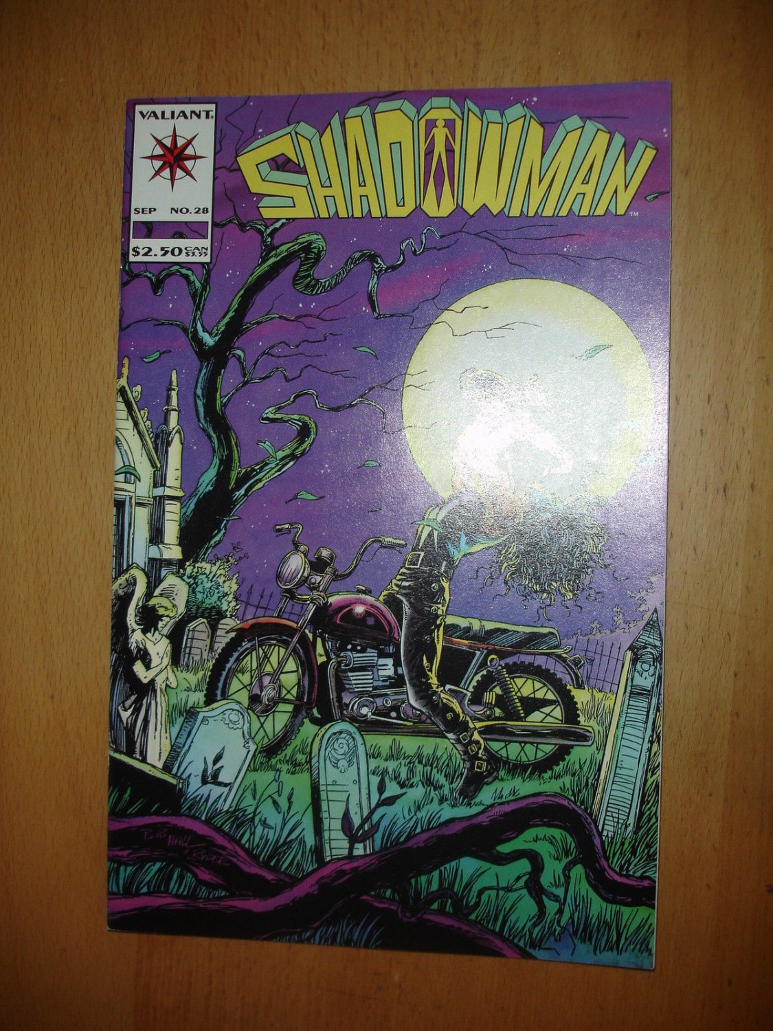 Shadowman #28  Valiant