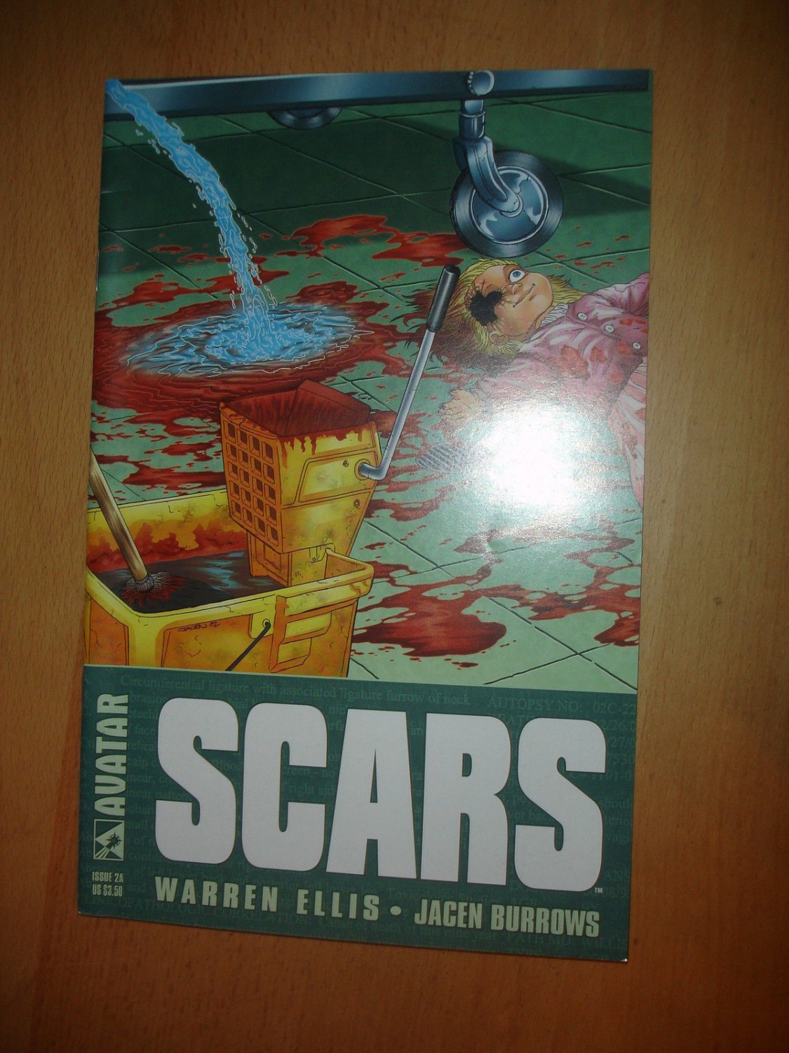 Scars #2A