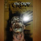 Crow #2