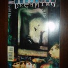 The Dreaming #2