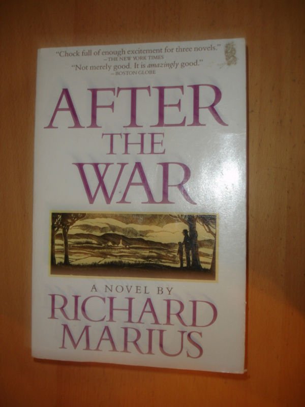 After the War by Richard Marius (1994, Paperback, Reprint)