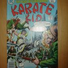 Karate Kid #5