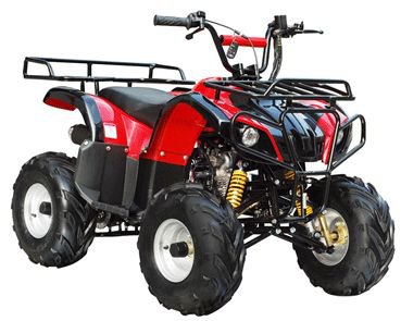 Raider 125cc Kids ATV Quad with Reverse Price 300usd