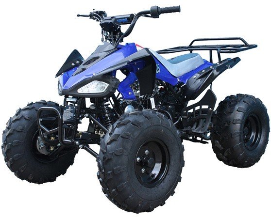 PRO TT Cheetah Kawasaki KFX Clone 110cc ATV Price 200usd