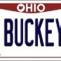 Go Buckeyes Vanity License Plate Tag 6"x 12" NCAA Columbus Metal Auto Ohio State