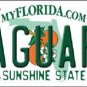 Jacksonville Jaguars Florida State Background Metal License Plate Tag Nfl 12x6