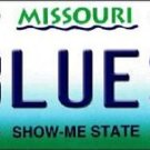 NHL Blues Vanity License Plate Tag  6"x 12" Metal Auto St Louis Stanley New Cup