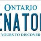 NHL Ottawa Senators Vanity License Plate Tag  6"x 12" Metal Auto Cup New Stanley
