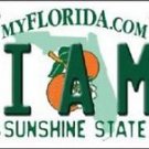 NCAA Miami Vanity License Plate Tag 6"x 12" Hurricanes Team FL Metal Auto UM