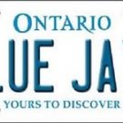 Mlb Blue Jays Vanity License Plate Tag Boston 6"x 12"  Metal Auto Toronto New
