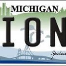 Nfl Lions Vanity License Plate Tag Detroit  6"x 12"  Metal Auto Sanders Ford New