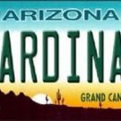 Nfl Cardinals Vanity License Plate Tag Arizona State  6"x 12"  Metal Auto Palmer