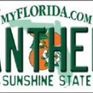 NHL Panthers Vanity License Plate Tag  6"x 12" Metal Florida Auto Cup Ice New FL