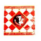 NCAA Florida State Seminoles Napkins 24 Pack Lunch Dinner Party  University Logo