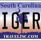 NCAA Clemson Tigers Vanity License Plate Tag 6"x12"  College Metal Auto Team New