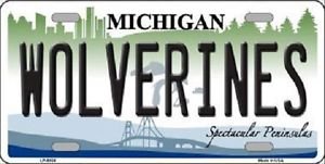 Ncaa Wolverines Vanity License Plate Tag 6"x12" Michigan College Metal Auto