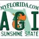Magic Vanity License Plate Tag  6"x 12" Metal Orlando  NBA Auto Wall Oneil Decor